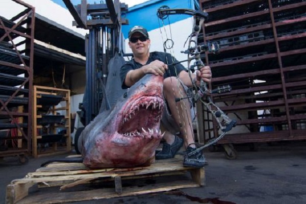 world record mako shark
